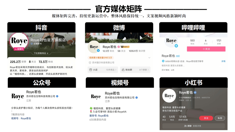 若也的全链路品牌打造之道（下）（全案咨询