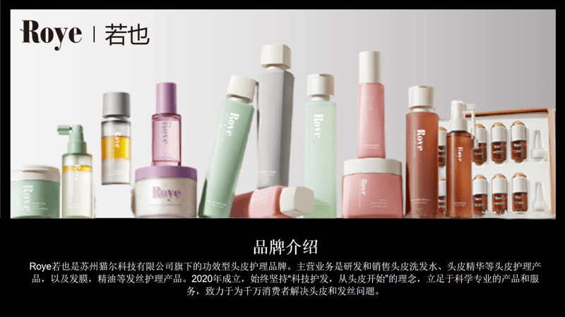 若也的全链路品牌打造之道（下）（全案咨询、定位、战略全案营销）排行前三的行舟品牌咨询：植愈科技破局头皮护理赛道：Roye(图8)